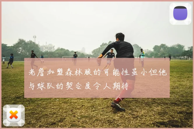 老詹加盟森林狼的可能性虽小但他与球队的契合度令人期待