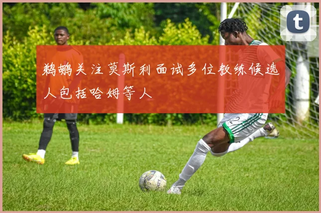 鹈鹕关注莫斯利面试多位教练候选人包括哈姆等人